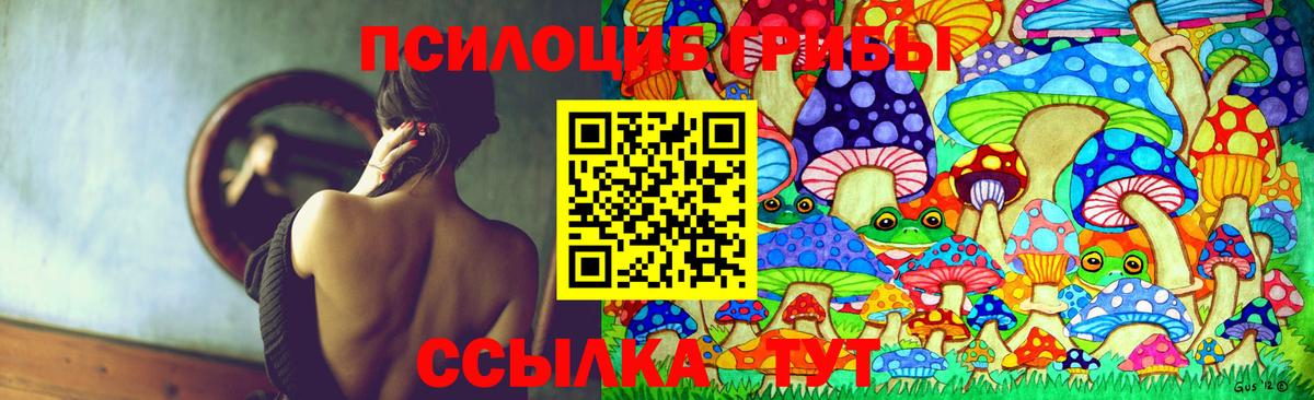 Галлюциногенные грибы Psilocybe Железноводск